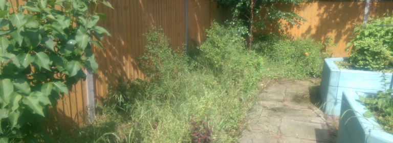 Ipswich’s Big 10 charity team to volunteer with the Papworth Trust on two garden makeovers