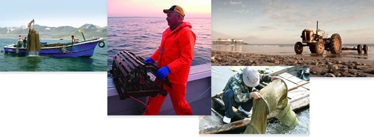 Read how we helped The Big Prawn Company with recruitment strategies that supported their growth