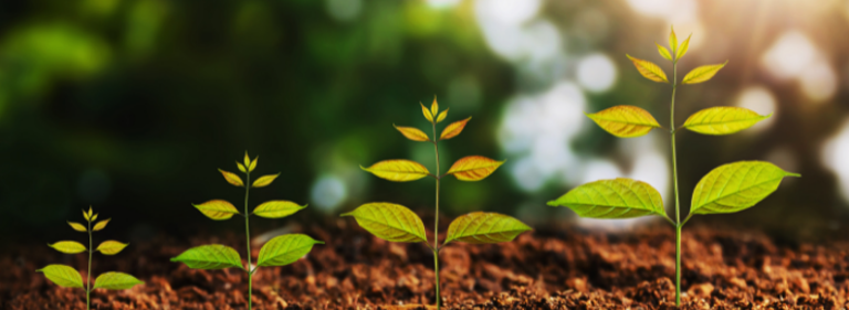 Bouncing back – how we’re returning to growth by increasing our talented team