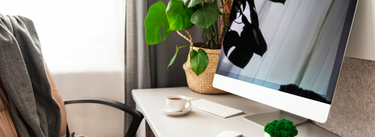 How to work from home the right way