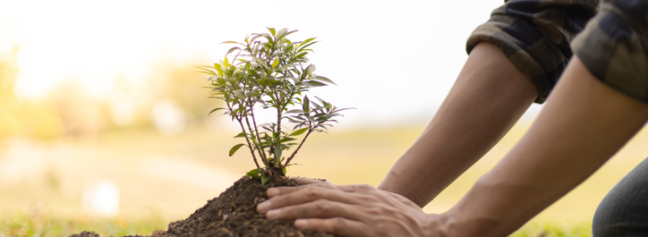 Recruitment and responsibility: giving back in 2023 to 2024